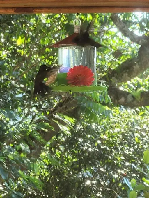 Sitio Colibri - Casa Inteligente Villa Paulo Lopes